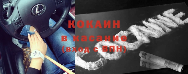 индика Надым