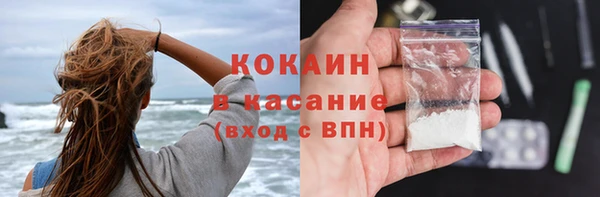 индика Надым