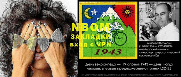 индика Бикин