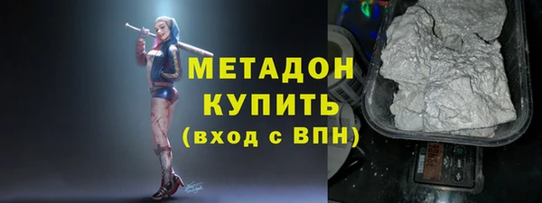 индика Бикин