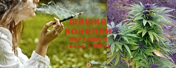 индика Надым