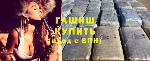 индика Надым