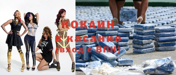 индика Надым
