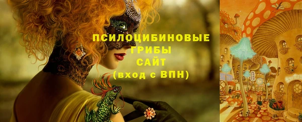MDMA Premium VHQ Билибино