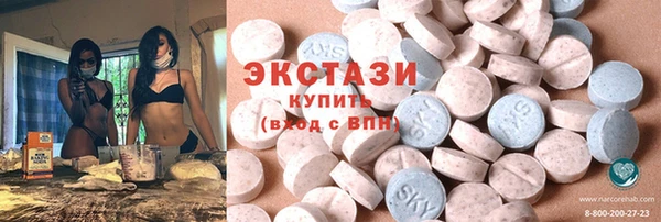 индика Надым