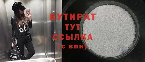 индика Надым